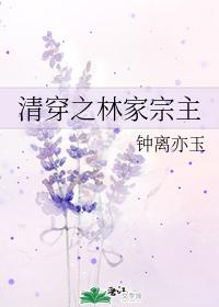 清穿之林家宗主