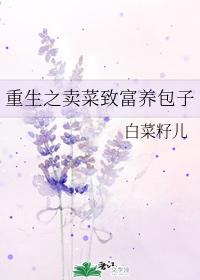 重生之卖菜致富养包子