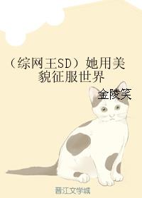 （综网王SD）她用美貌征服世界